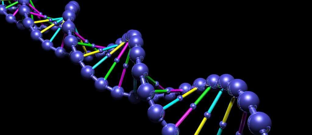 DNA Sample Analysis